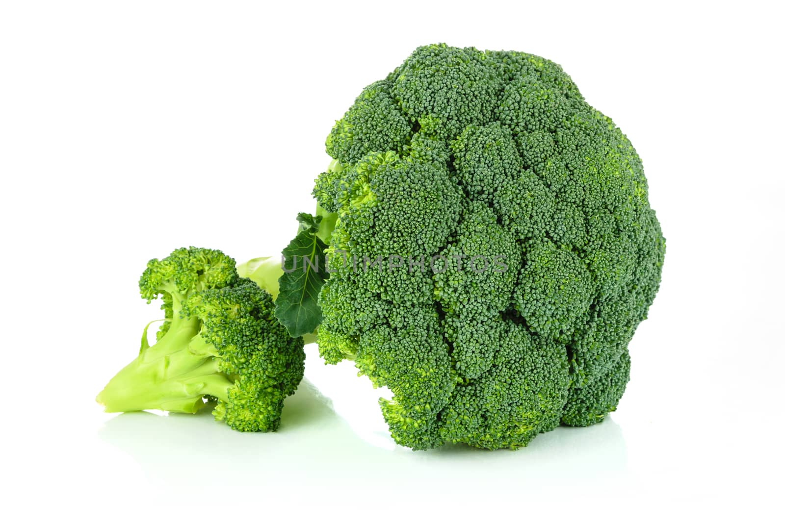 Fresh green broccoli  by wdnet_studio