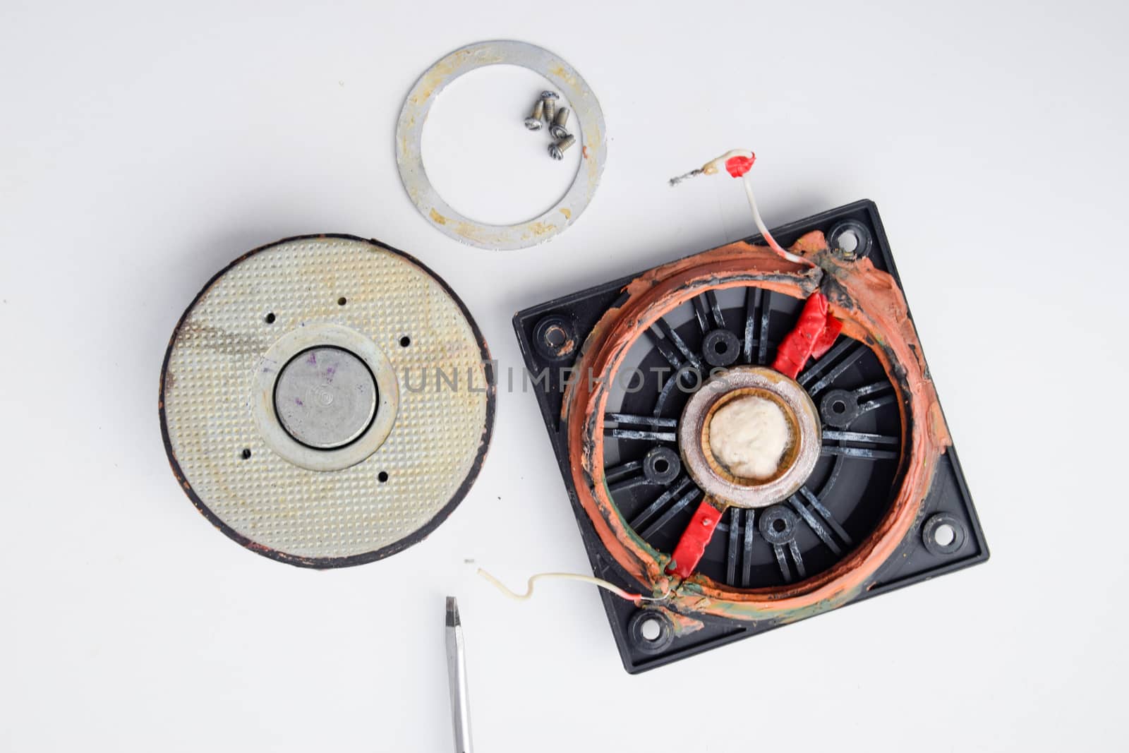 Speaker repair, disassembled speaker. High-frequency speaker 6GDV-7-16 on a white background. A component of a three-way speaker system.