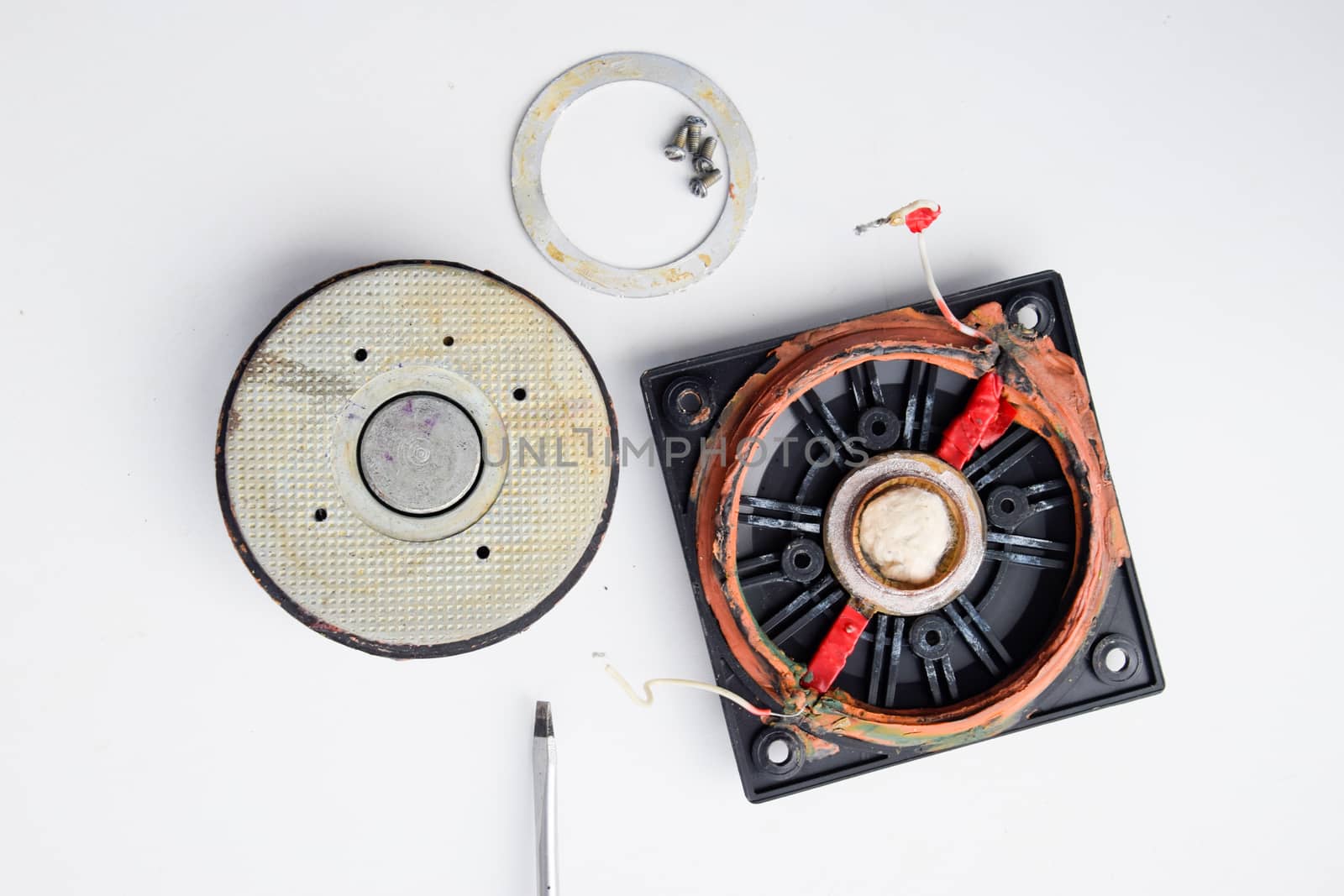 Speaker repair, disassembled speaker. High-frequency speaker 6GDV-7-16 on white background. A component of a three-way speaker system. by fedoseevaolga