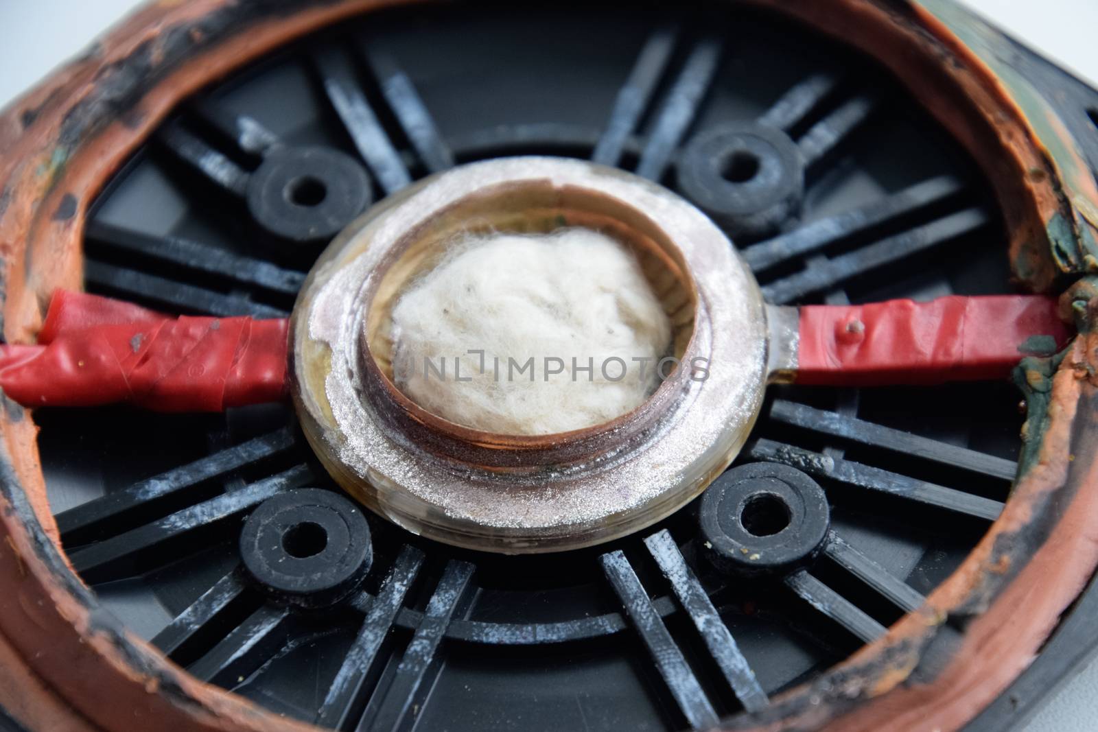 Speaker repair, disassembled speaker. High-frequency speaker 6GDV-7-16 on a white background. A component of a three-way speaker system.