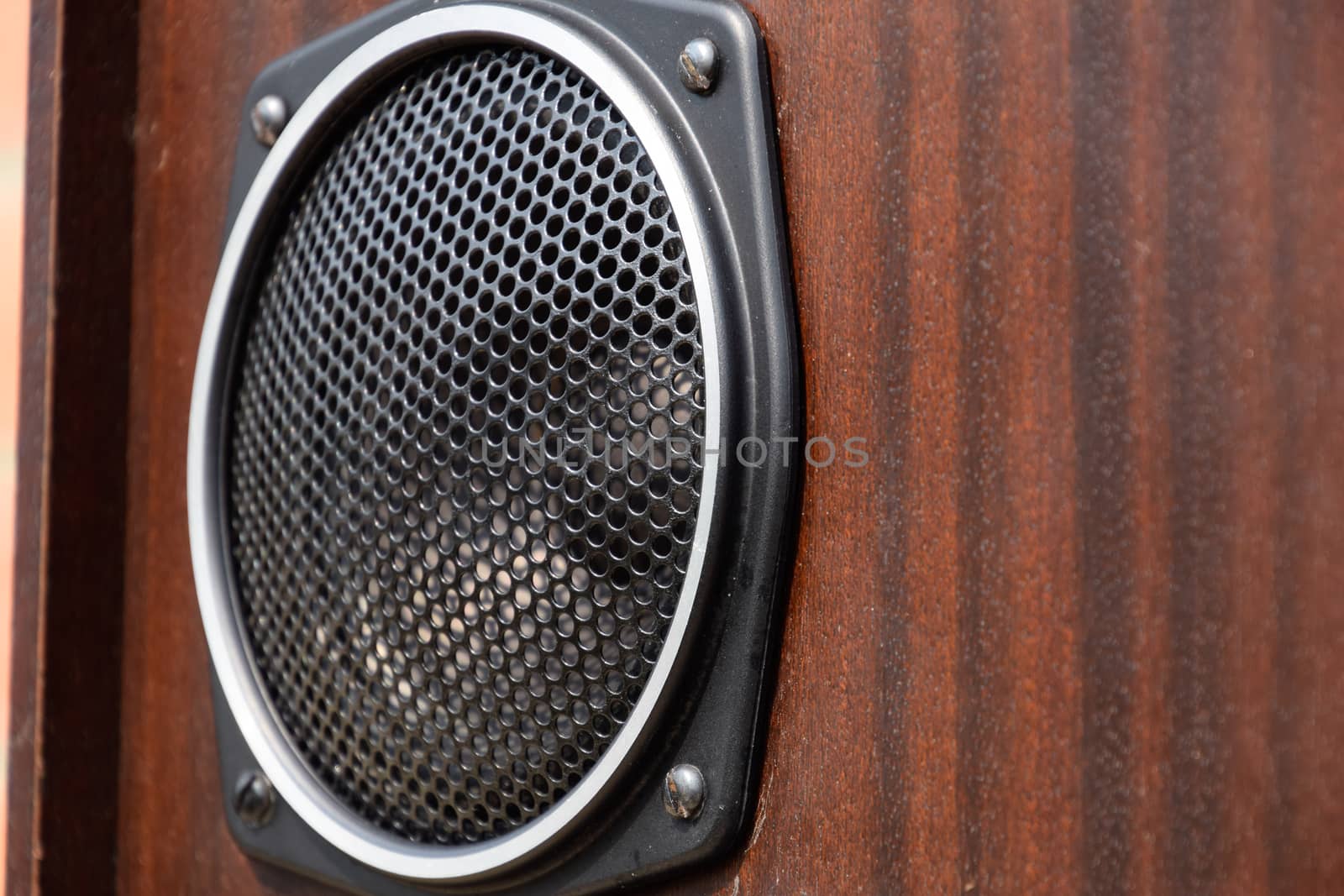 Mid-range speaker with a protective grid on the speaker.