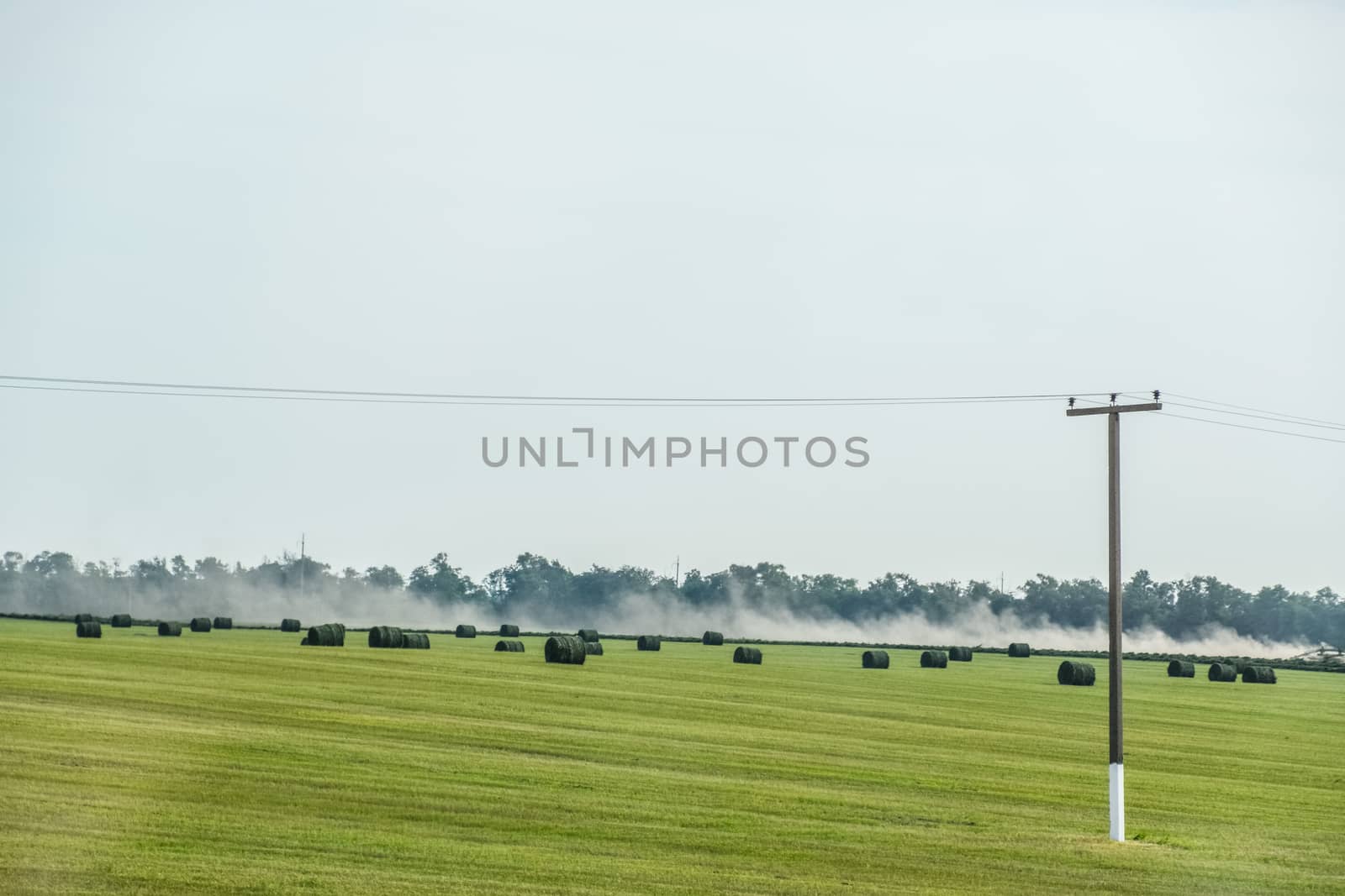 Field with bales of hay. Preparing hay for feeding animals. Newly beveled hay in bales on field. by fedoseevaolga