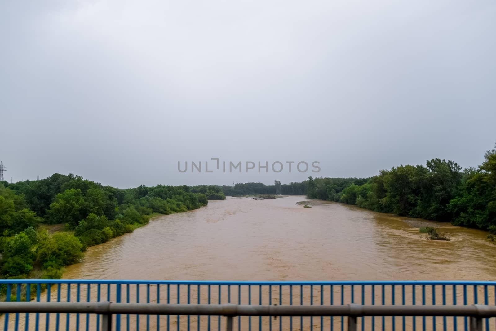 Passing over the bridge over the river. The landscape of the river, the surface and the trees of the river's waterplain.