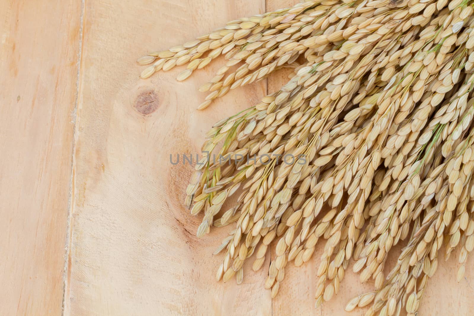 grains, ear of rice on the wooden background, copyspace for text