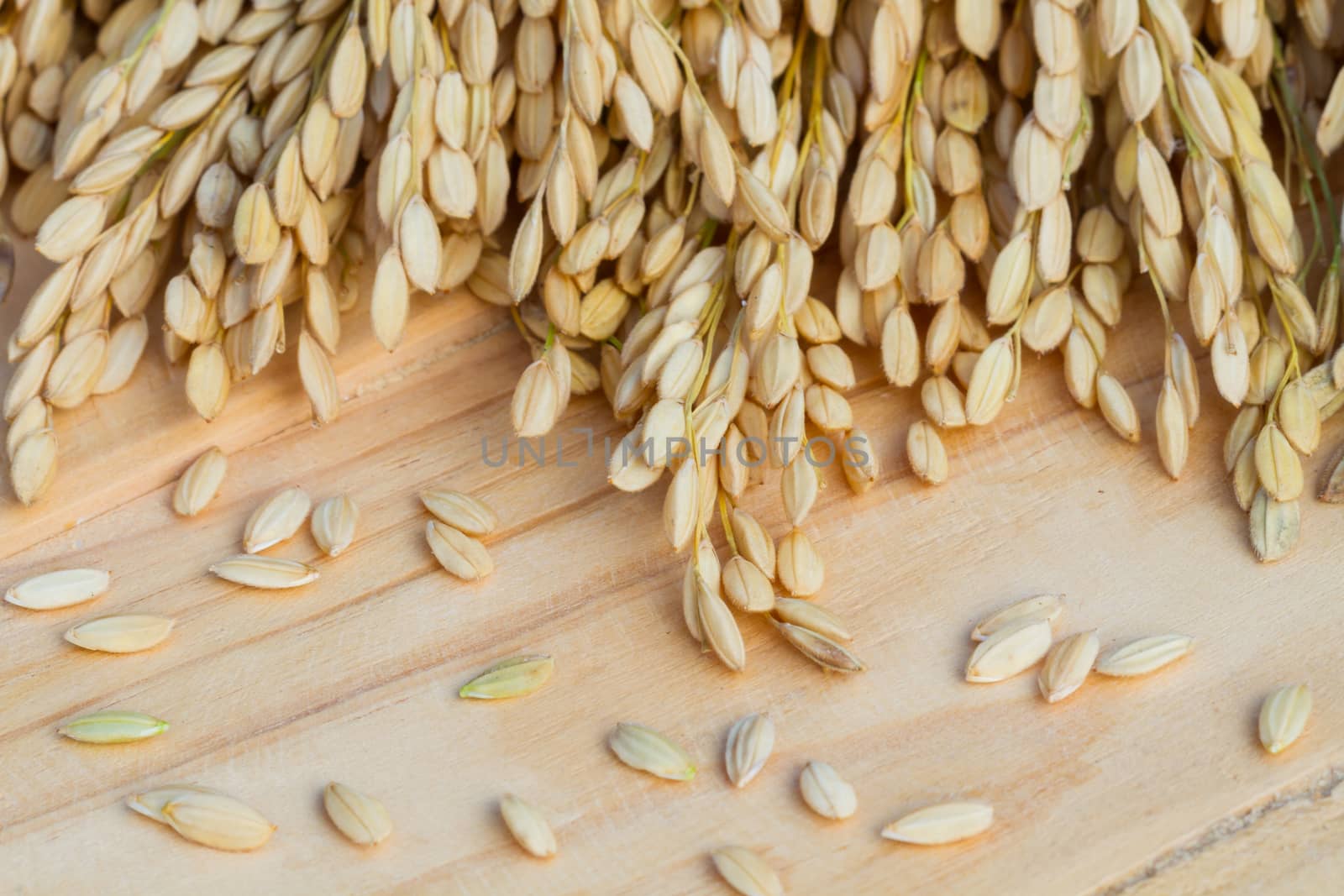 grains, ear of rice on the wooden background