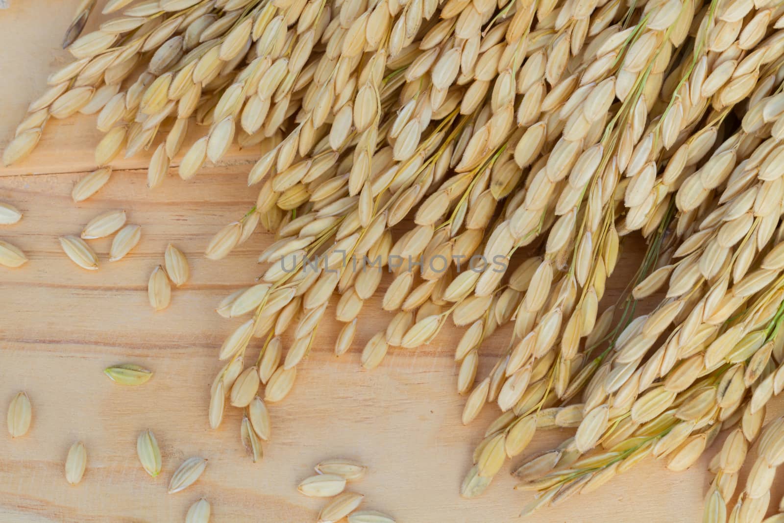grains, ear of rice on the wooden background