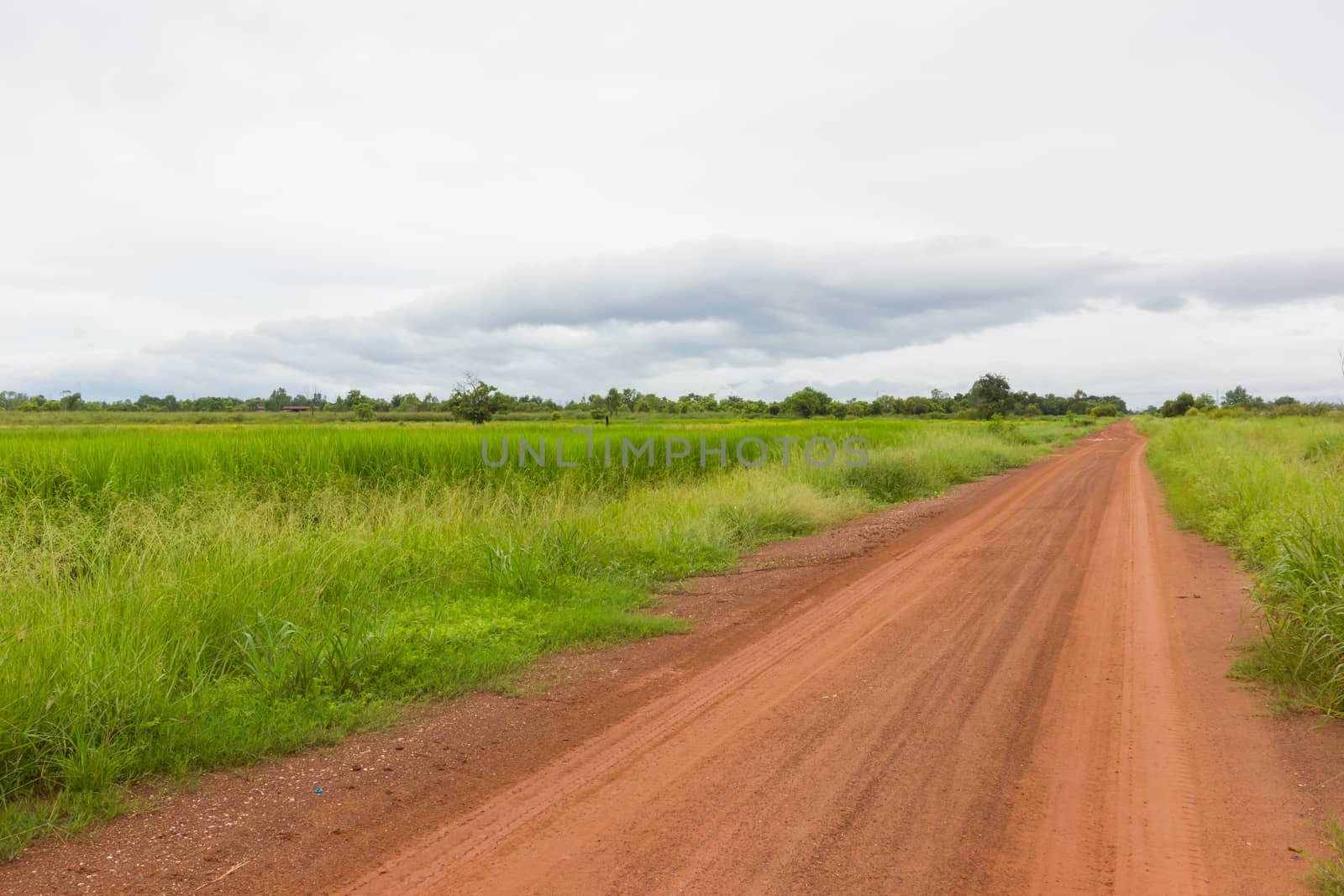 Beautiful Spring countryside landscape with dirt road and cloudy sky, perspective view.