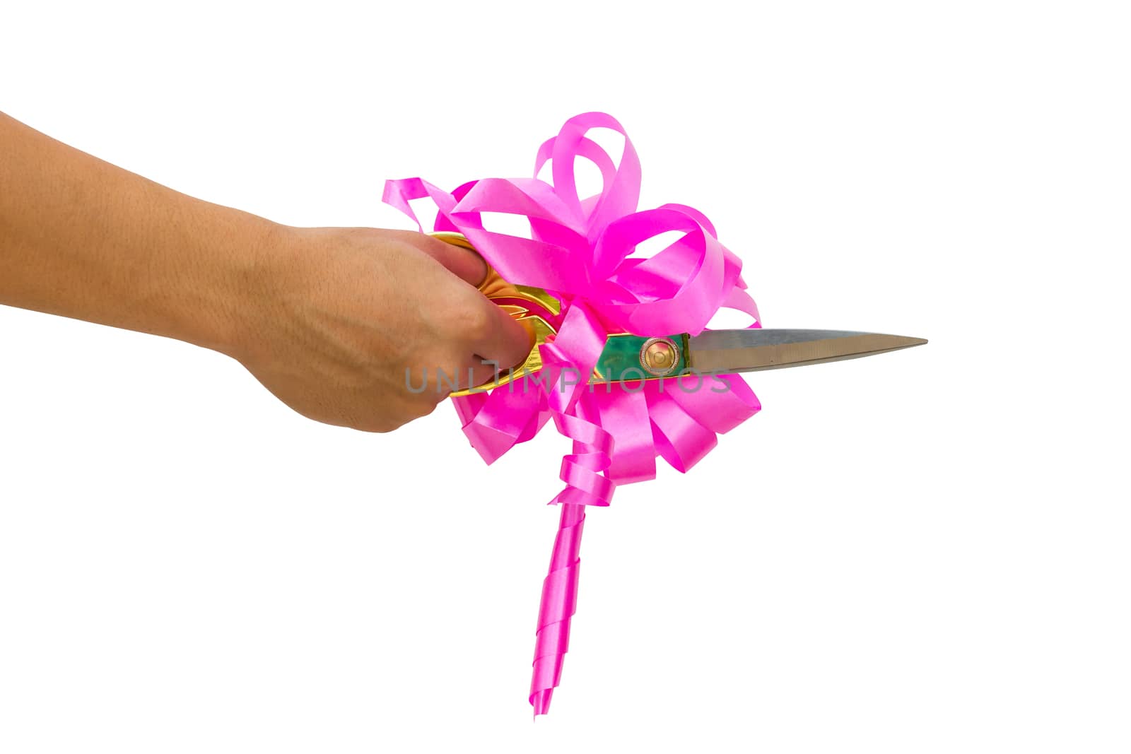 mans hand cutting something with scissors and pink bow isolated on white background.