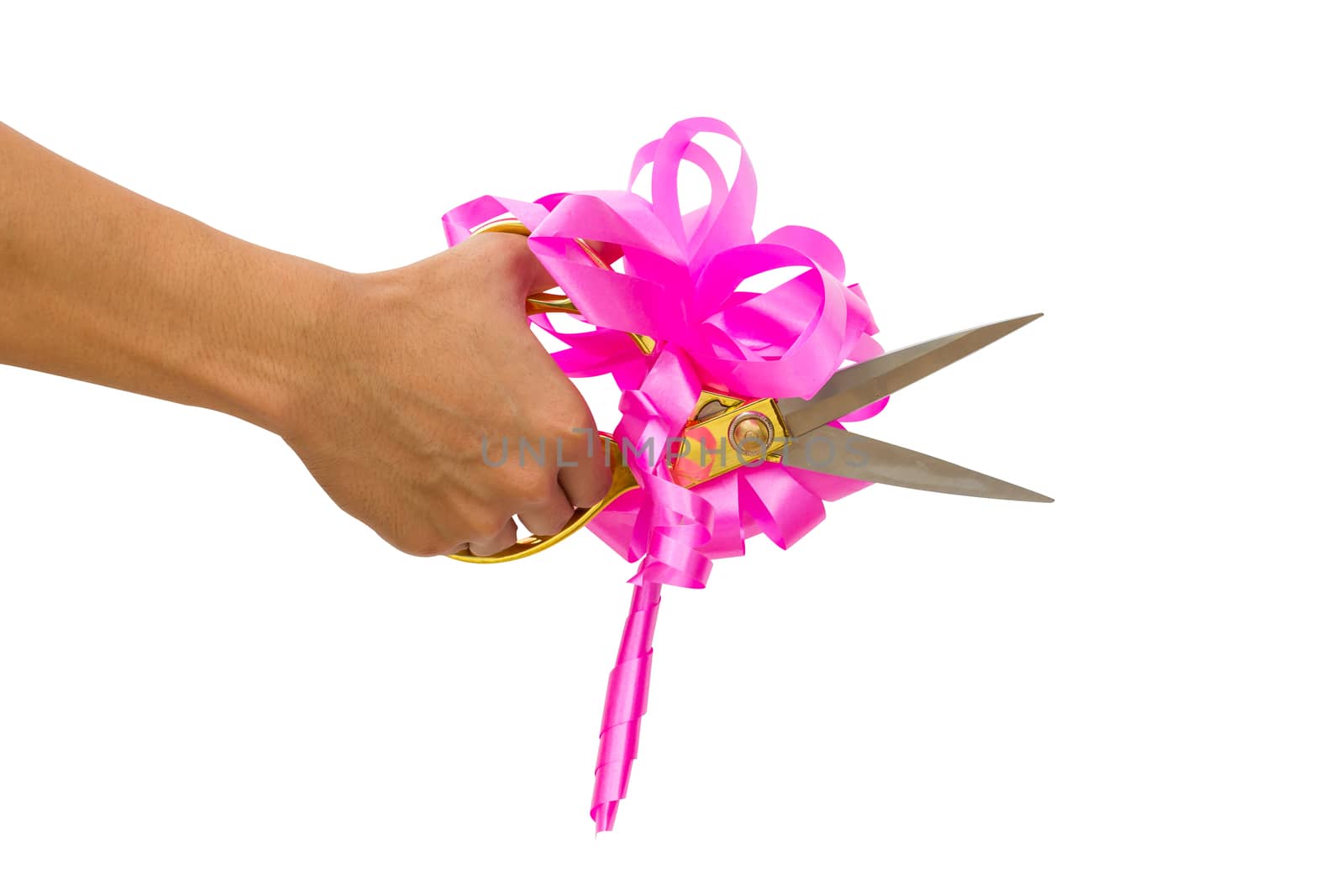 mans hand cutting something with scissors and pink bow isolated on white background.