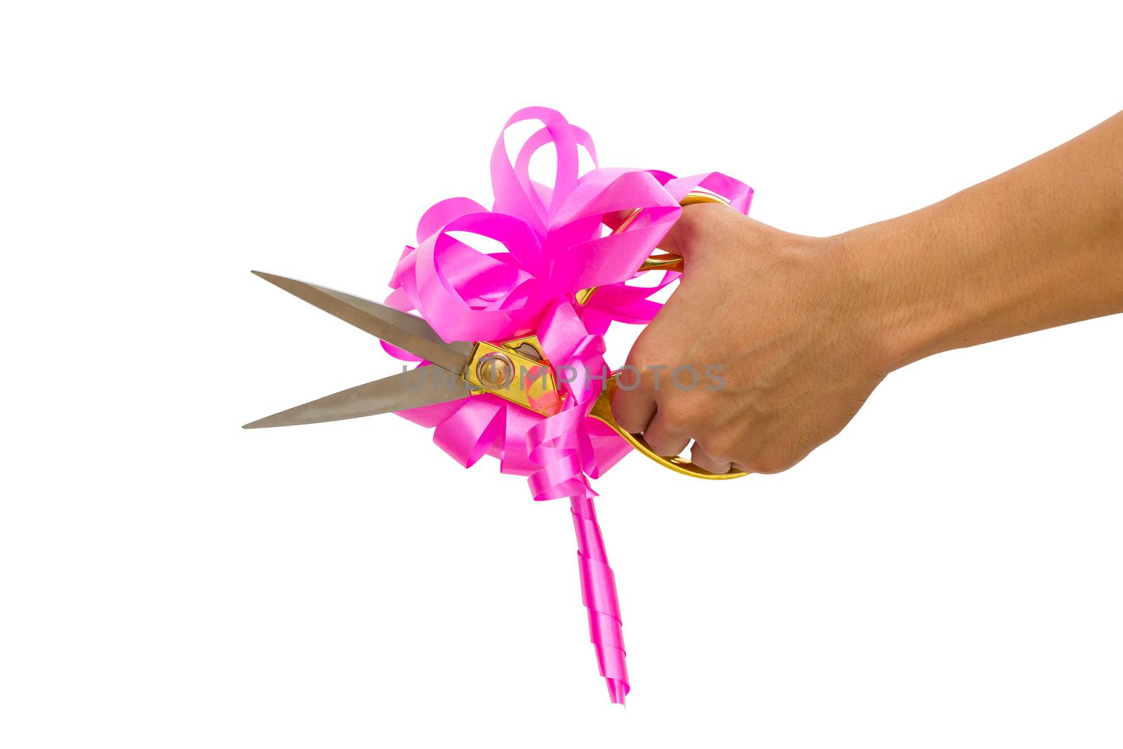 mans hand cutting something with scissors and pink bow isolated on white background.