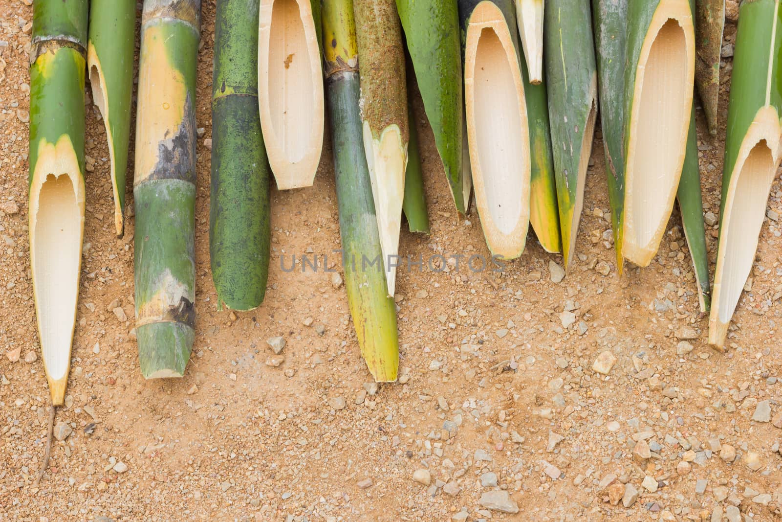 sharpened bamboo sticks on the ground used for stabbing dracular, copyspace