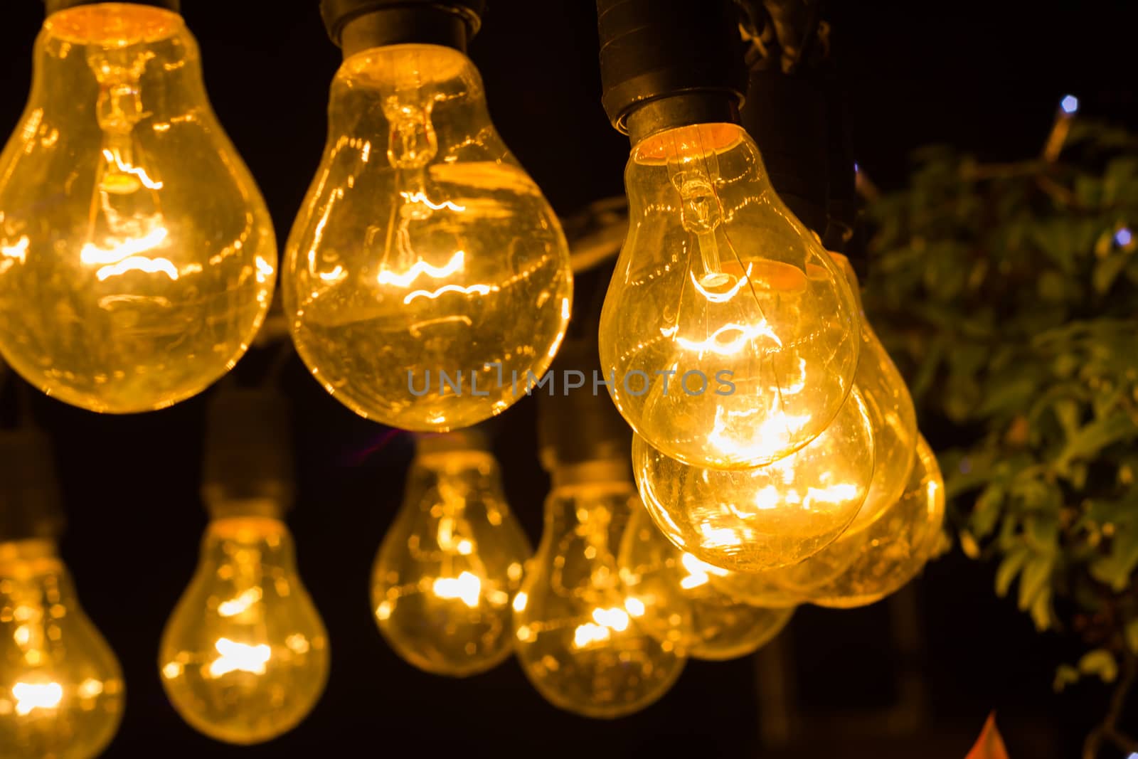 old retro light bulbs  in the night background