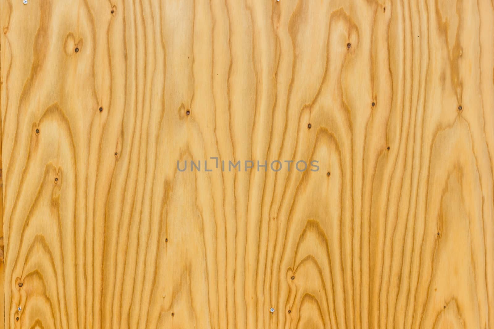 Wooden texture background old panels