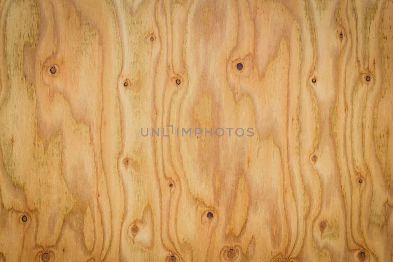 Real Natural Wood Texture wood background texture used for decoration