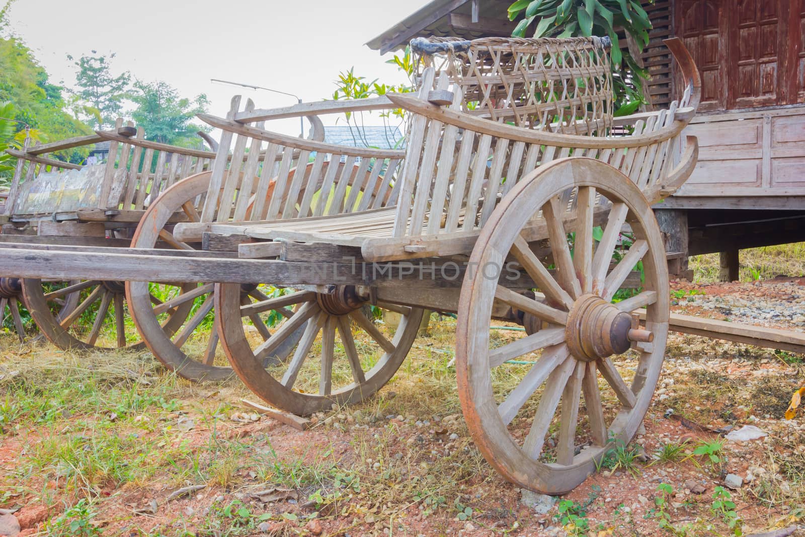 close-up old traditional ox cart in a park, Thailand