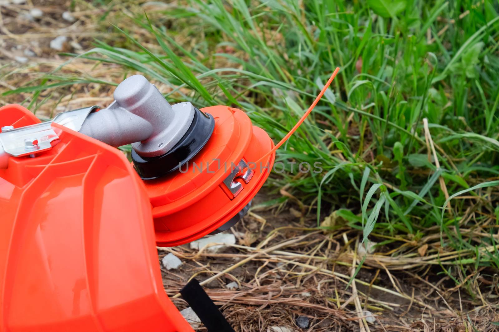 Head with fishing line for mowing grass. Gas trimmer. Trimer gascosis with a leaf for mowing grass and shrubs.