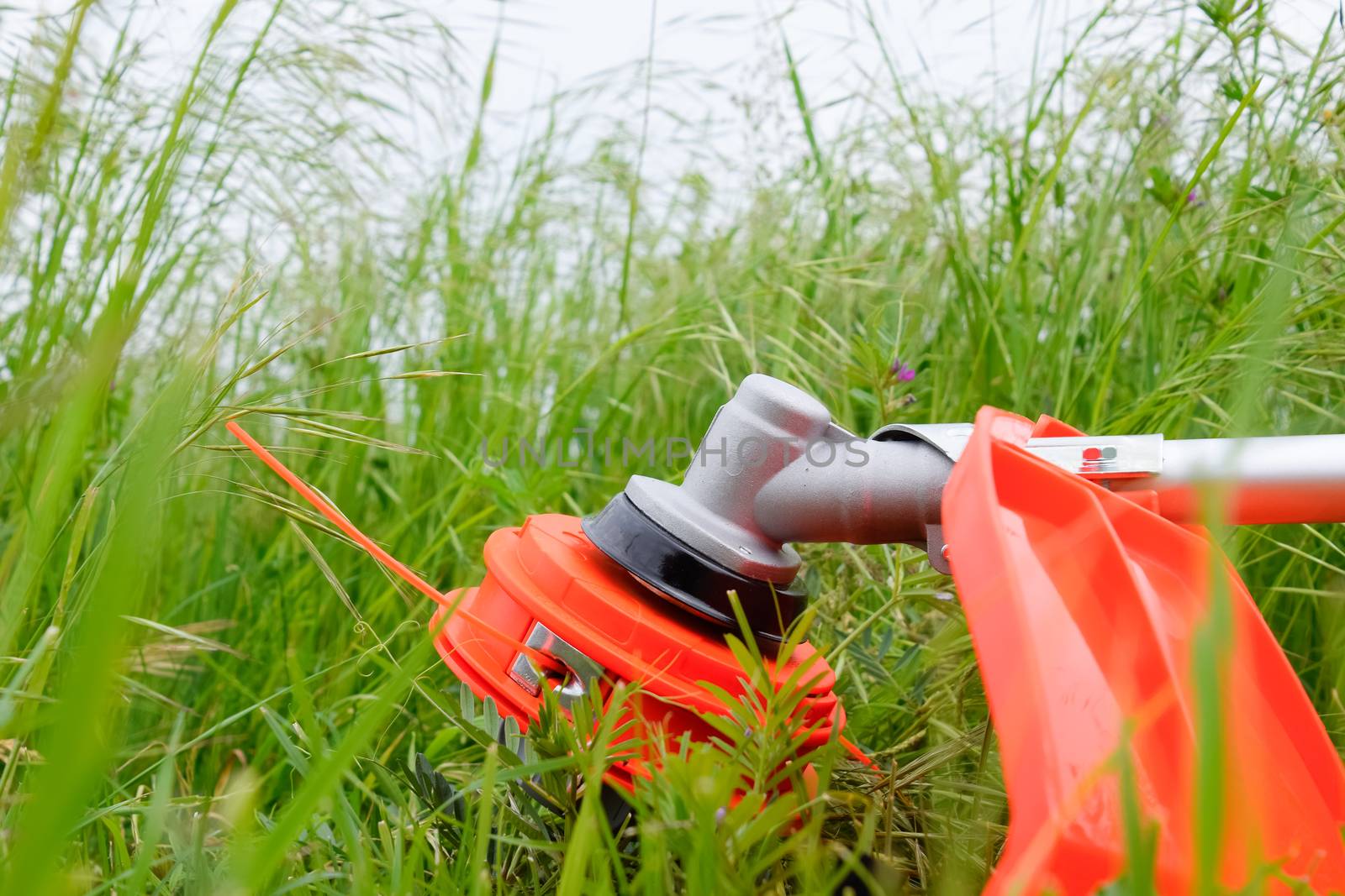 Trimer gascosis with a leaf for mowing grass and shrubs.