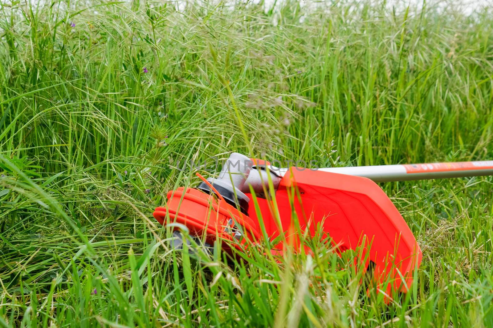 Trimer gascosis with a leaf for mowing grass and shrubs.