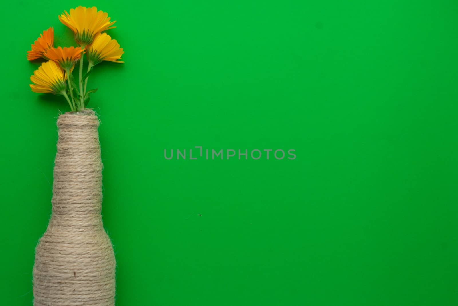 Glass bottle of beer reused with hemp yarn and flowers on the left with a green background. Recycling and reusable concept