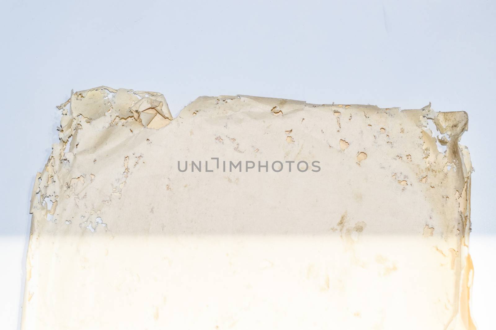 Paper swallowed with silverfish. Traces of wrecking silverfish on vinyl envelopes. lepisma