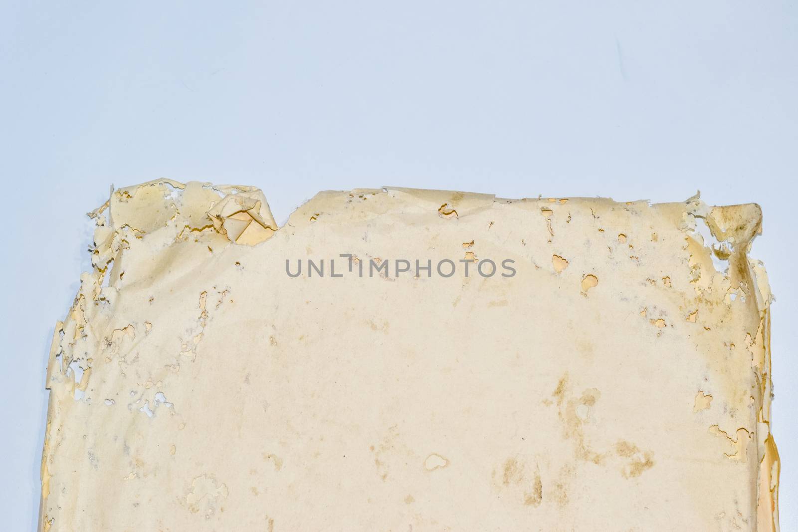 Paper swallowed with silverfish. Traces of wrecking silverfish on vinyl envelopes. lepisma