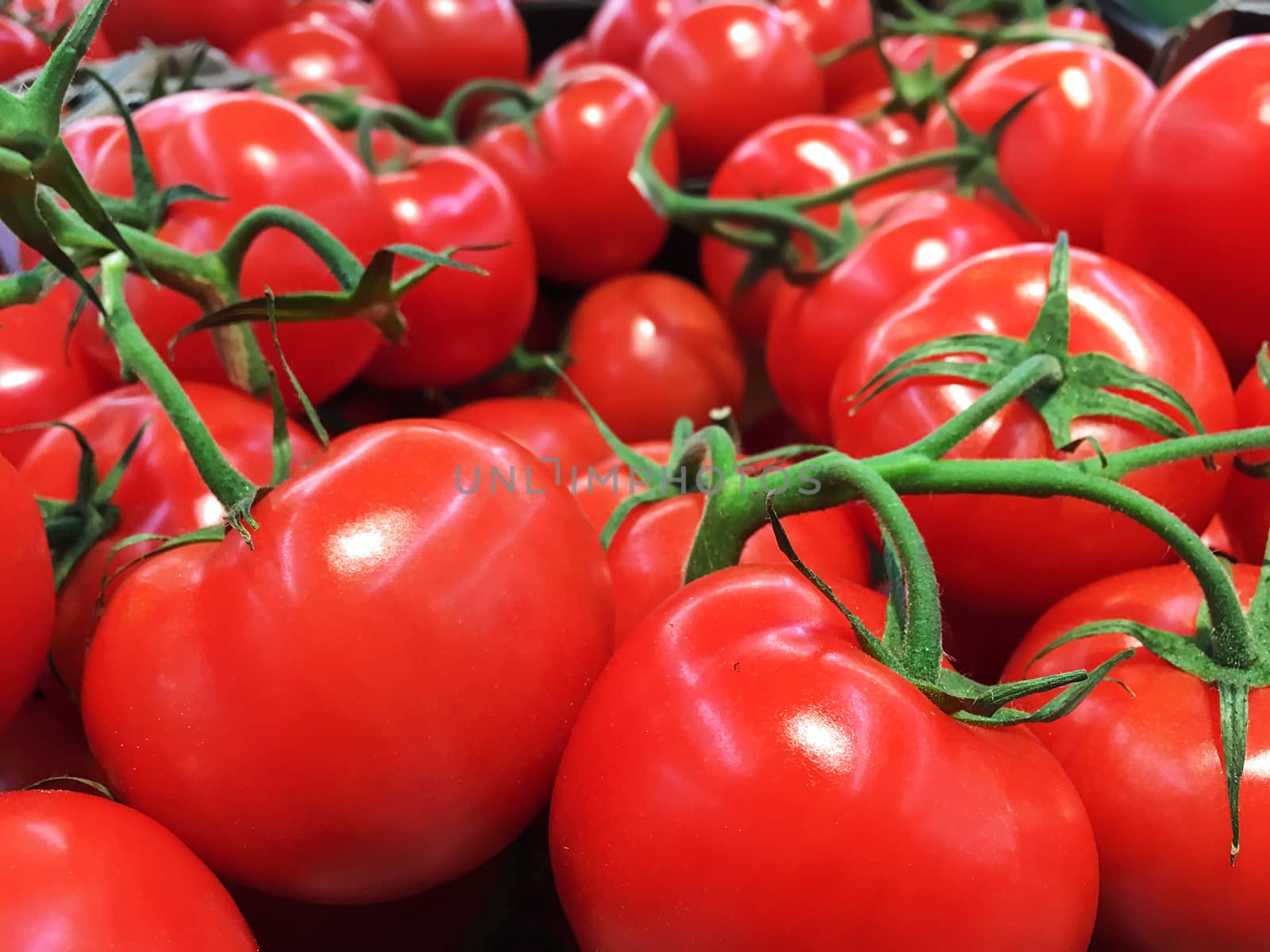 Group of fresh cherry tomatoes in close-up