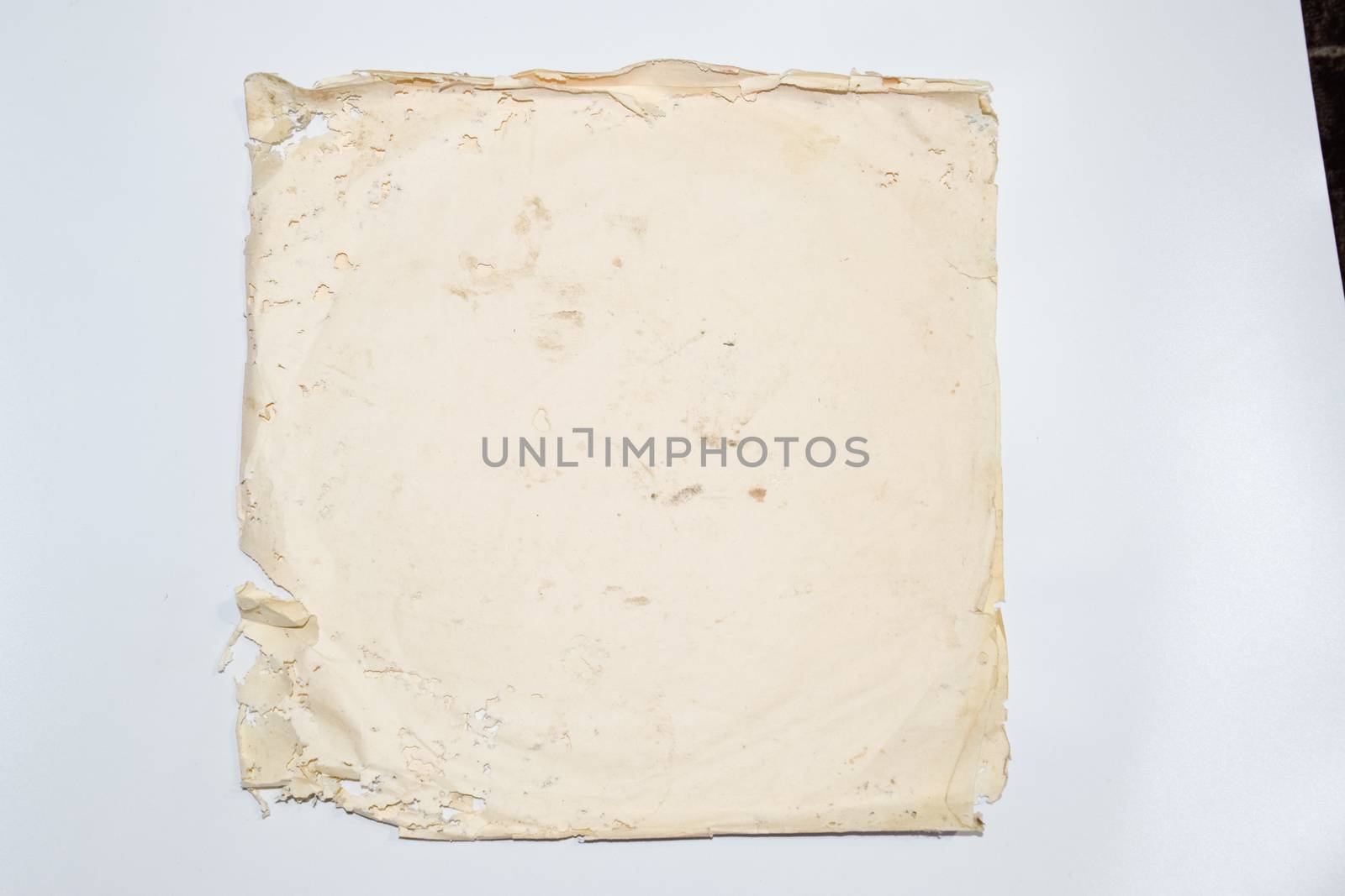 Paper swallowed with silverfish. Traces of wrecking silverfish on vinyl envelopes. lepisma
