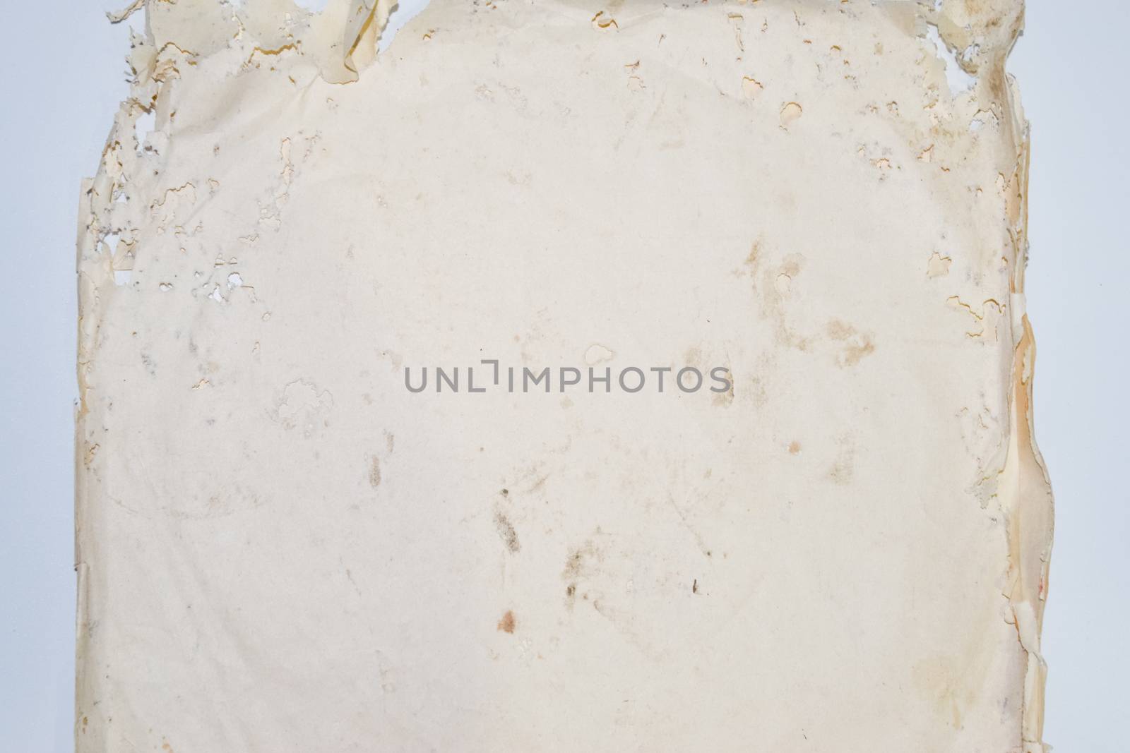 Paper swallowed with silverfish. Traces of wrecking silverfish on vinyl envelopes. lepisma