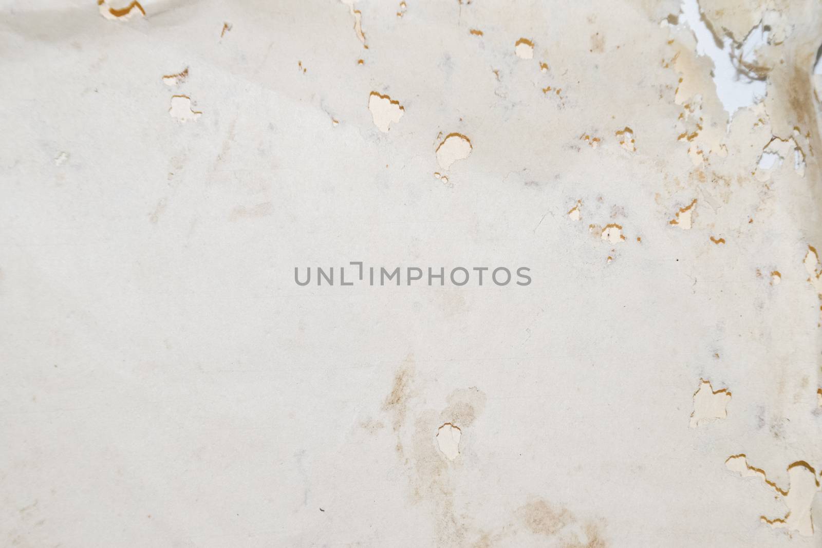 Paper swallowed with silverfish. Traces of wrecking silverfish on vinyl envelopes. lepisma