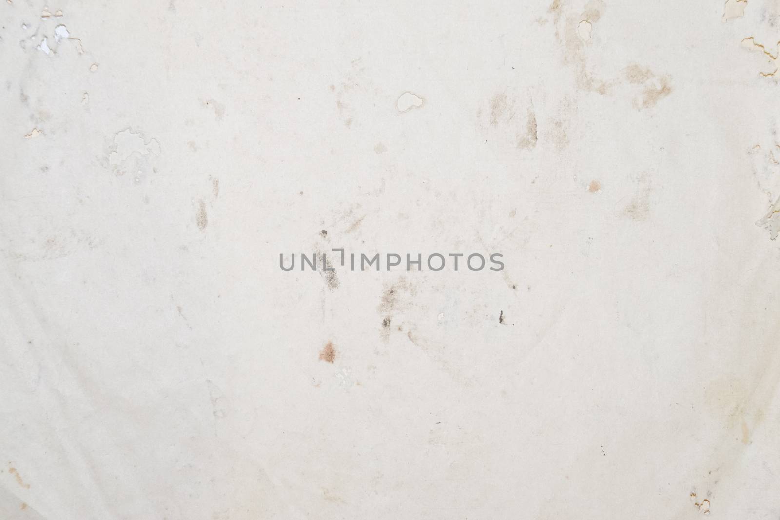 Paper swallowed with silverfish. Traces of wrecking silverfish on vinyl envelopes. lepisma