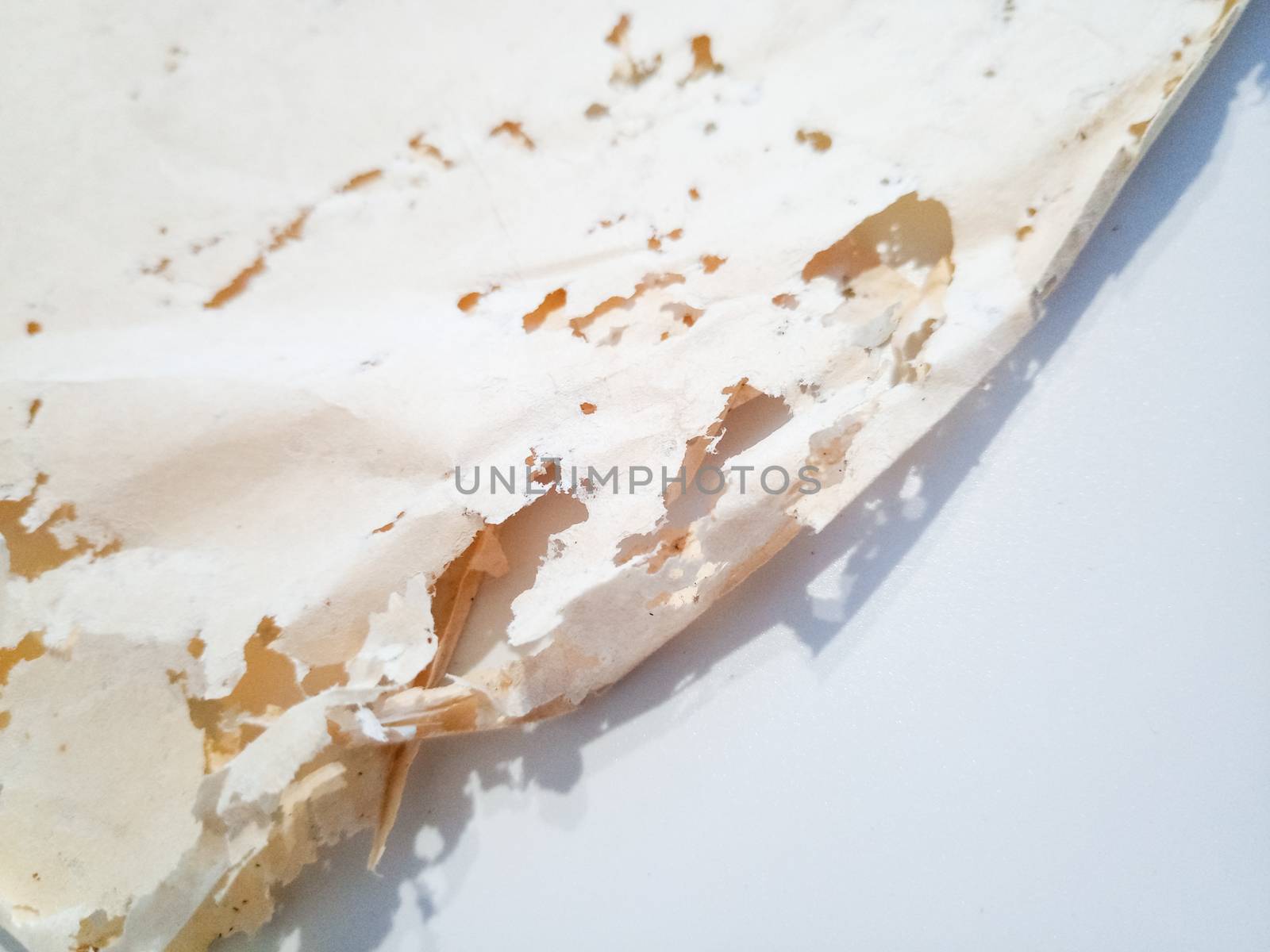 Paper swallowed with silverfish. Traces of wrecking silverfish on vinyl envelopes. lepisma