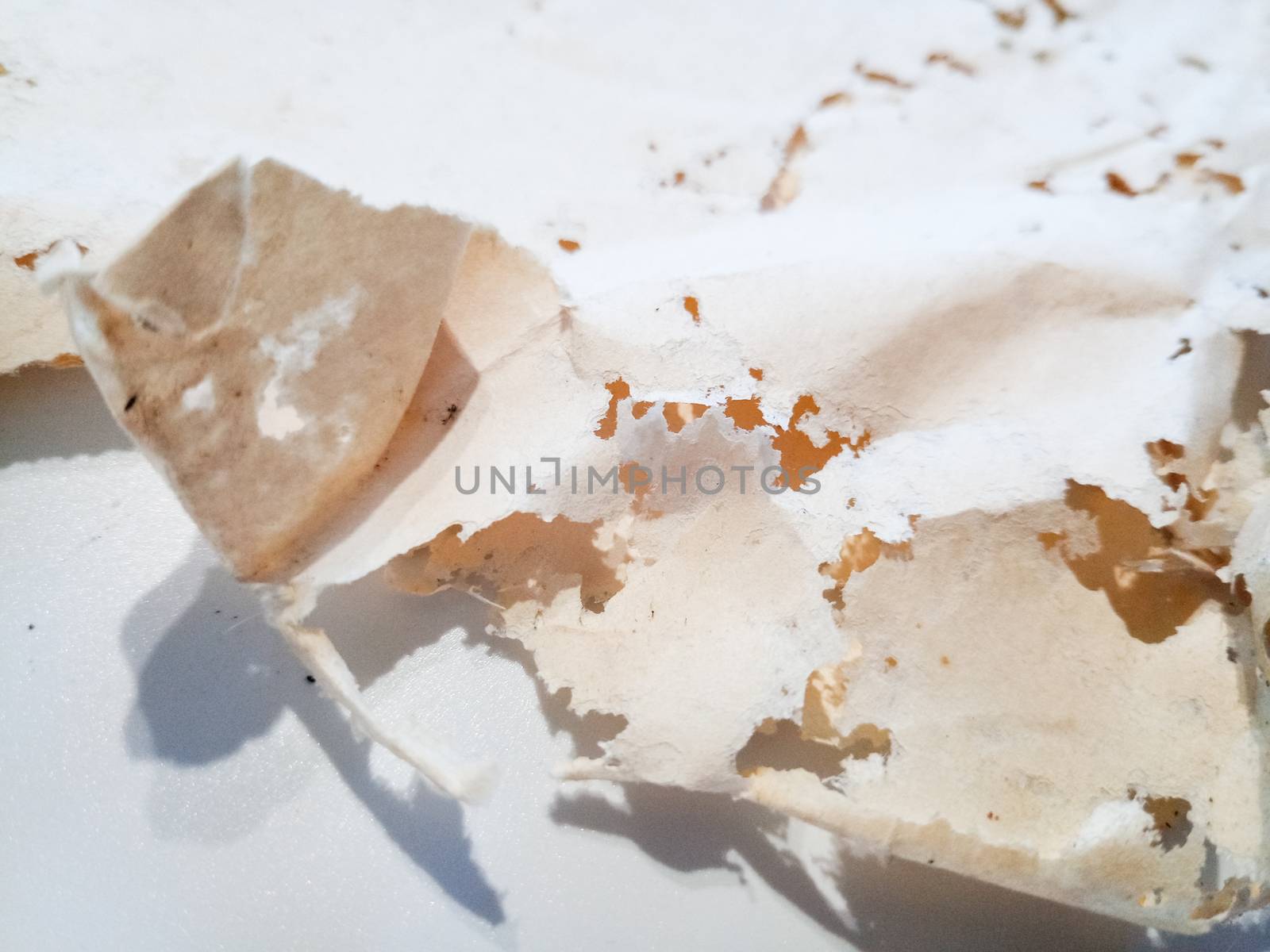 Paper swallowed with silverfish. Traces of wrecking silverfish on vinyl envelopes. lepisma