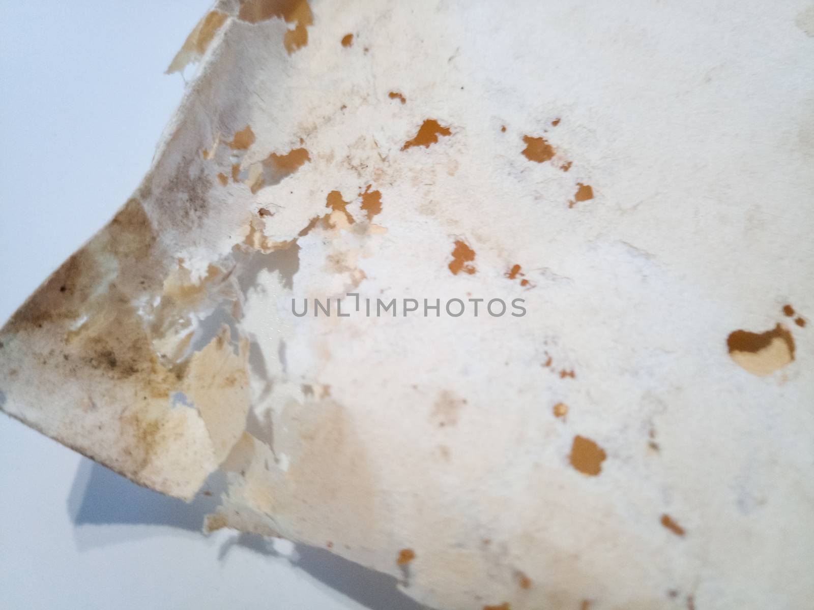 Paper swallowed with silverfish. Traces of wrecking silverfish on vinyl envelopes. lepisma