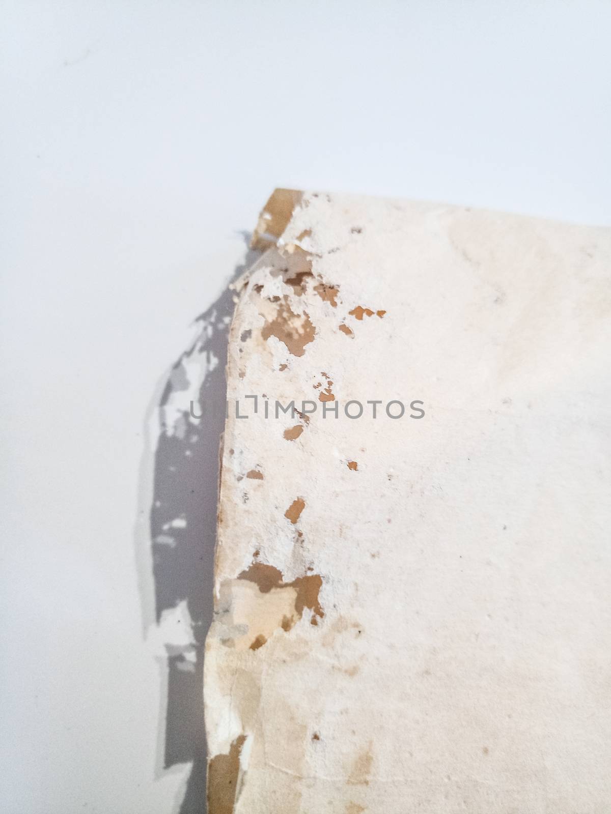 Paper swallowed with silverfish. Traces of wrecking silverfish on vinyl envelopes. lepisma