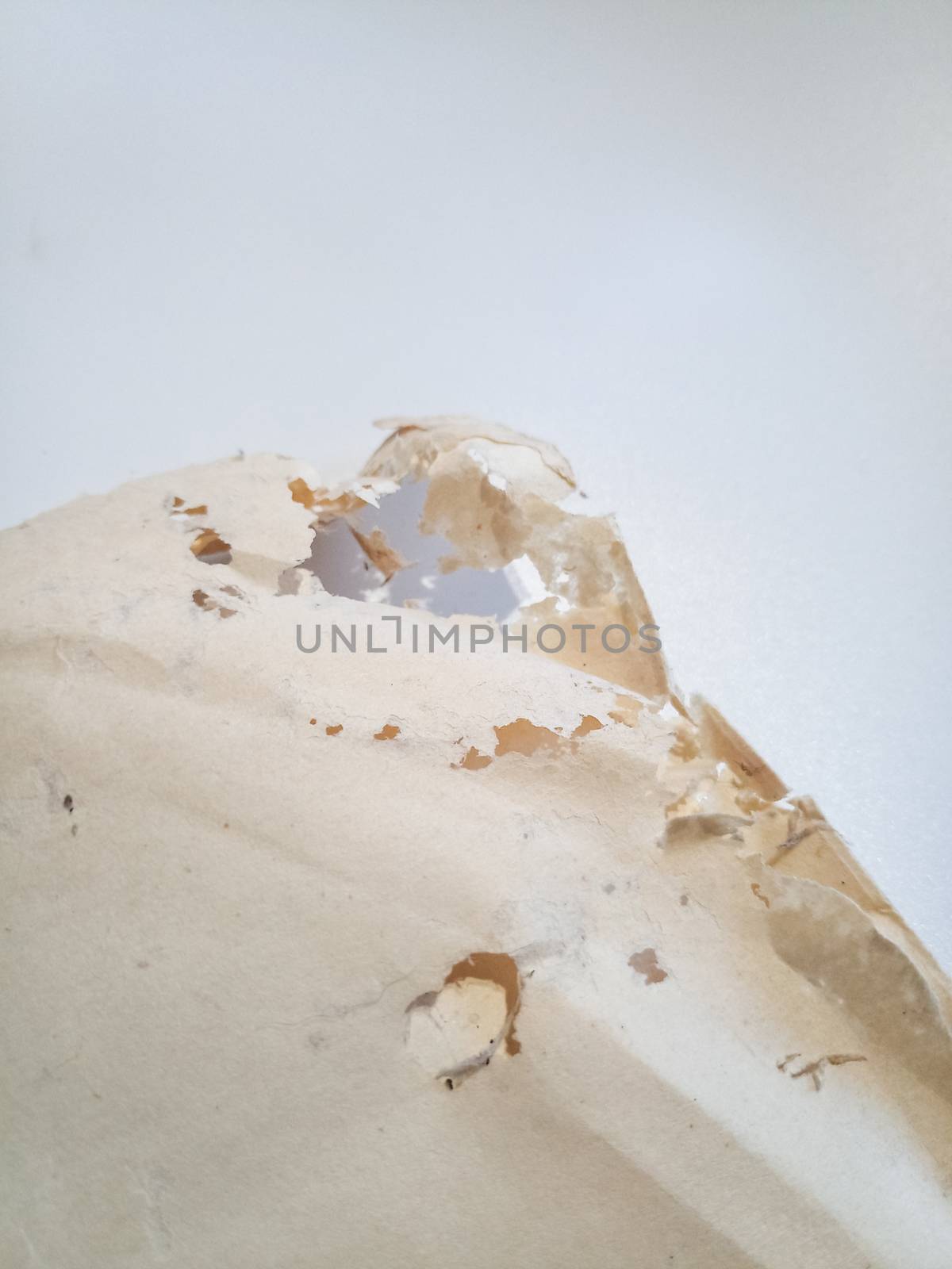 Paper swallowed with silverfish. Traces of wrecking silverfish on vinyl envelopes. lepisma