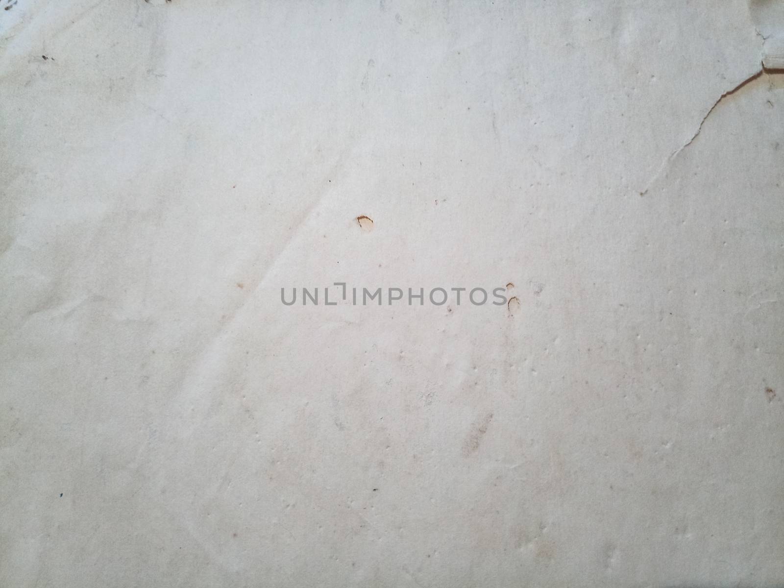 Paper swallowed with silverfish. Traces of wrecking silverfish on vinyl envelopes. lepisma