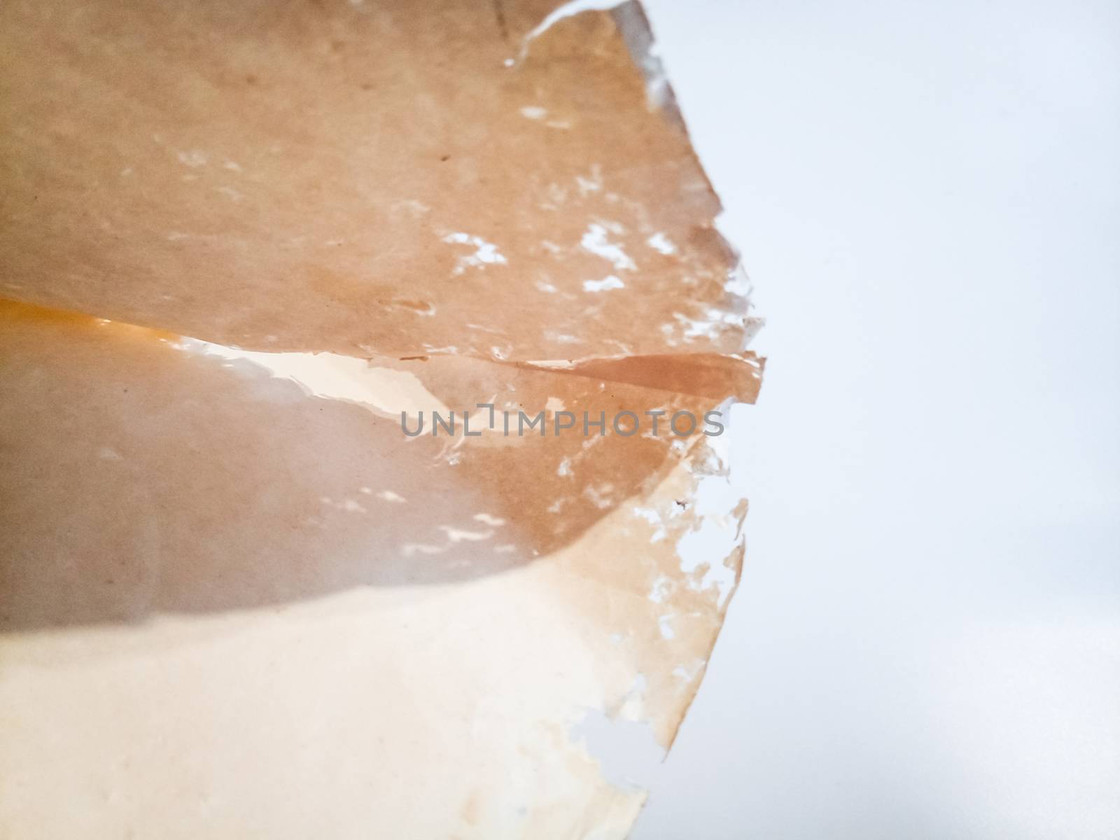 Paper swallowed with silverfish. Traces of wrecking silverfish on vinyl envelopes. lepisma