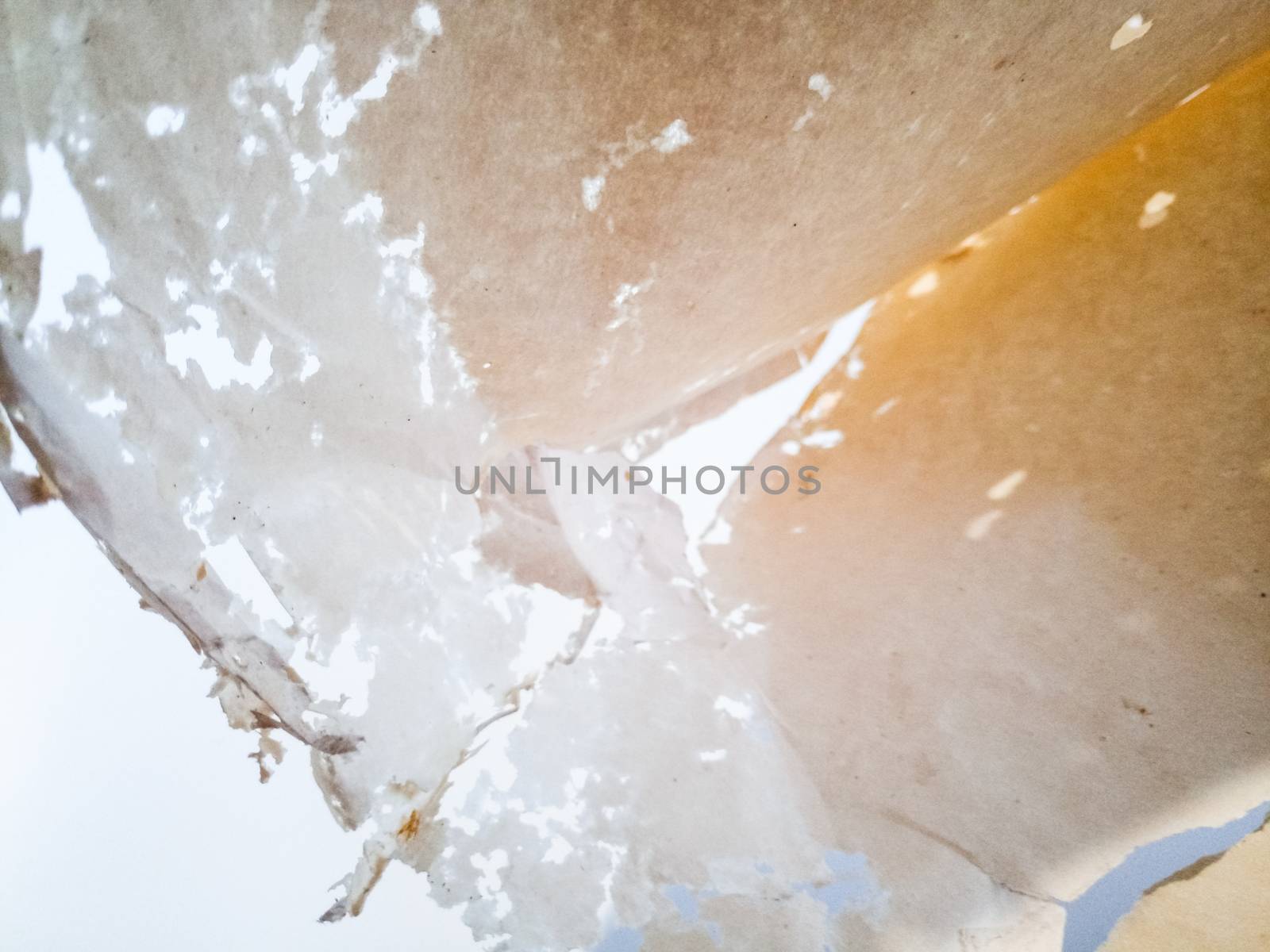 Paper swallowed with silverfish. Traces of wrecking silverfish on vinyl envelopes. lepisma