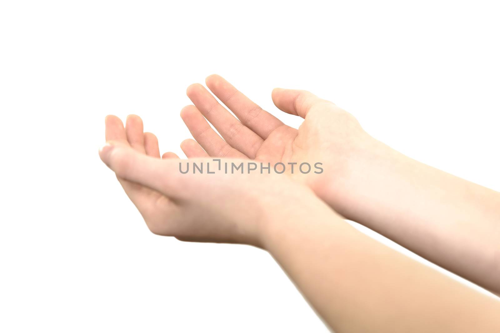 Female hands raised up in a gesture of holding something or praying on a white background in close-up