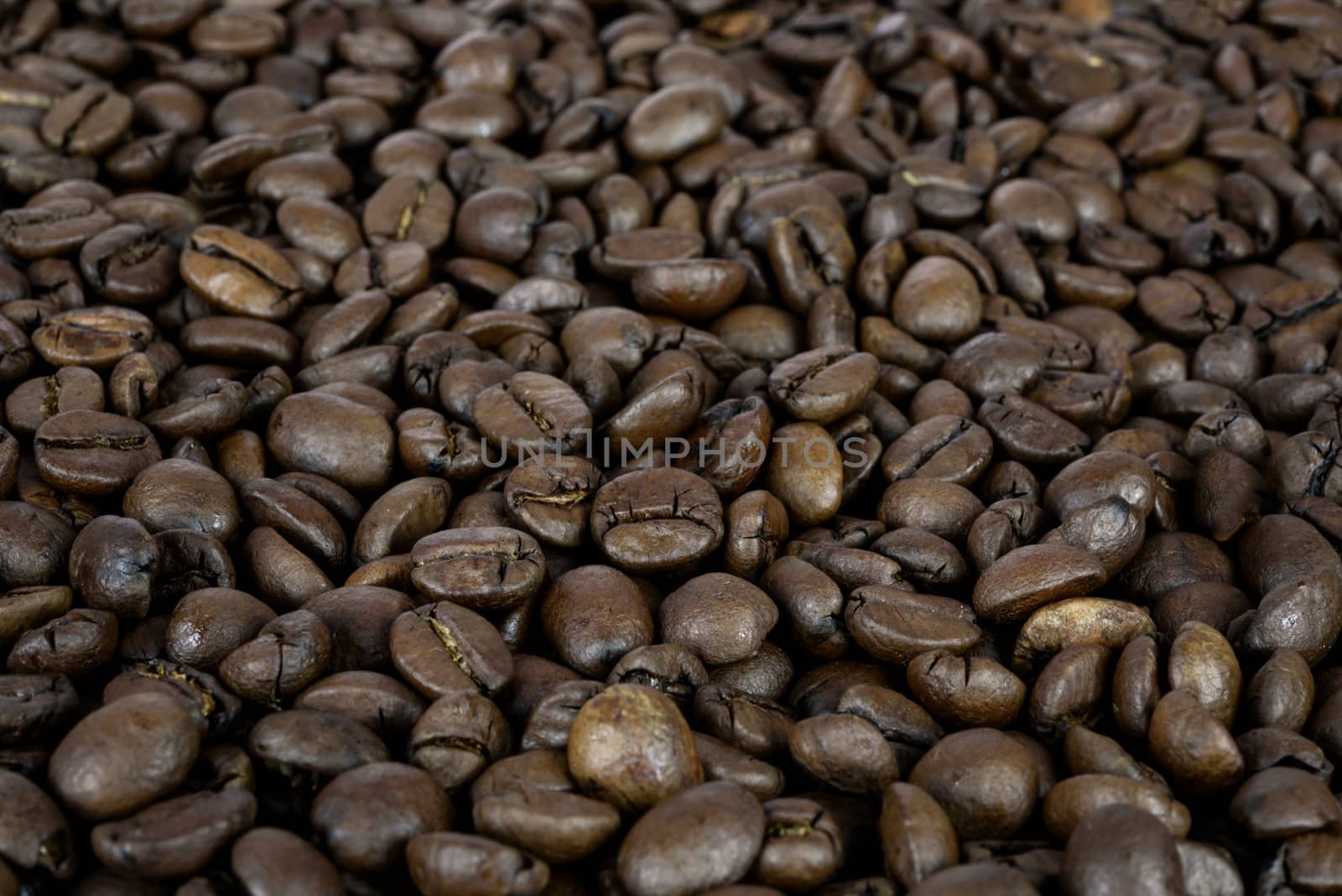 Premium coffee background - many roasted brown beans in close-up as a texture (high details).