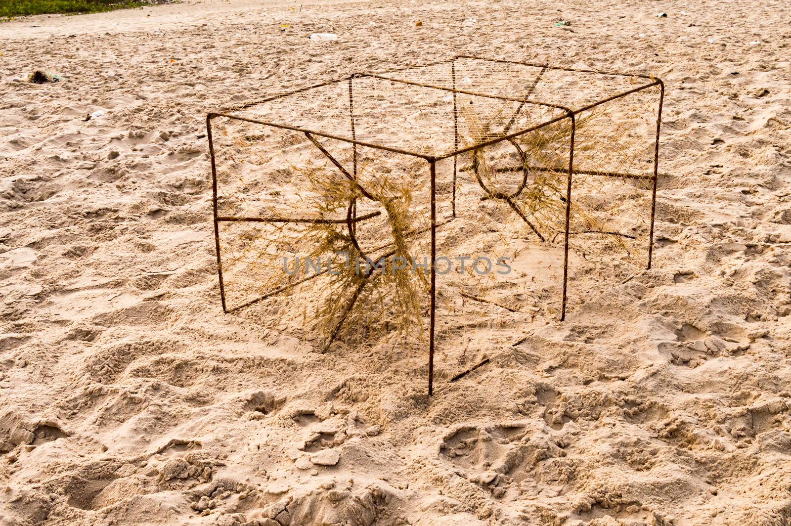 Crab trap on Bijilo Beach in The Gambia, West Africa