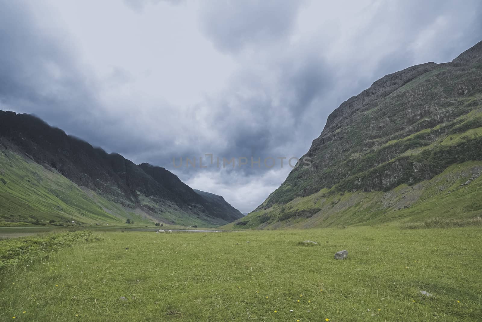 Landscape of nature in Scotland, mountains with fog at top and no people and sheep