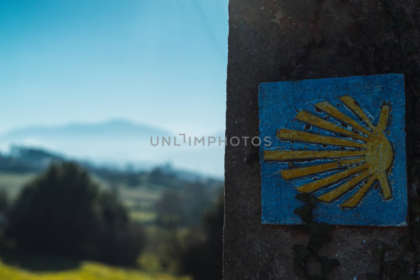 camino de santiago sign in a wall with mountain and trees in the background