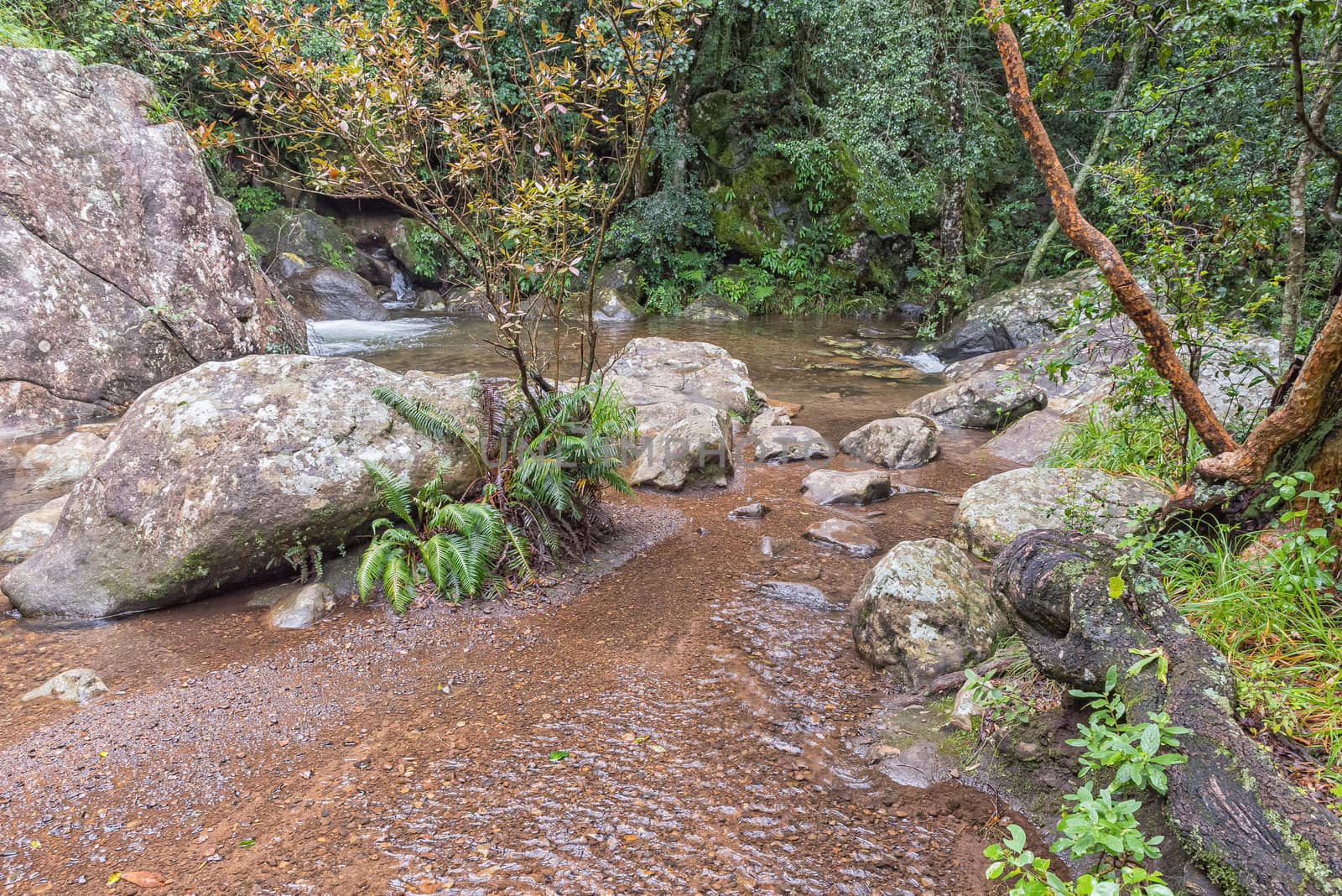 Gudu River pools in the Gudu forest after heavy rain by dpreezg