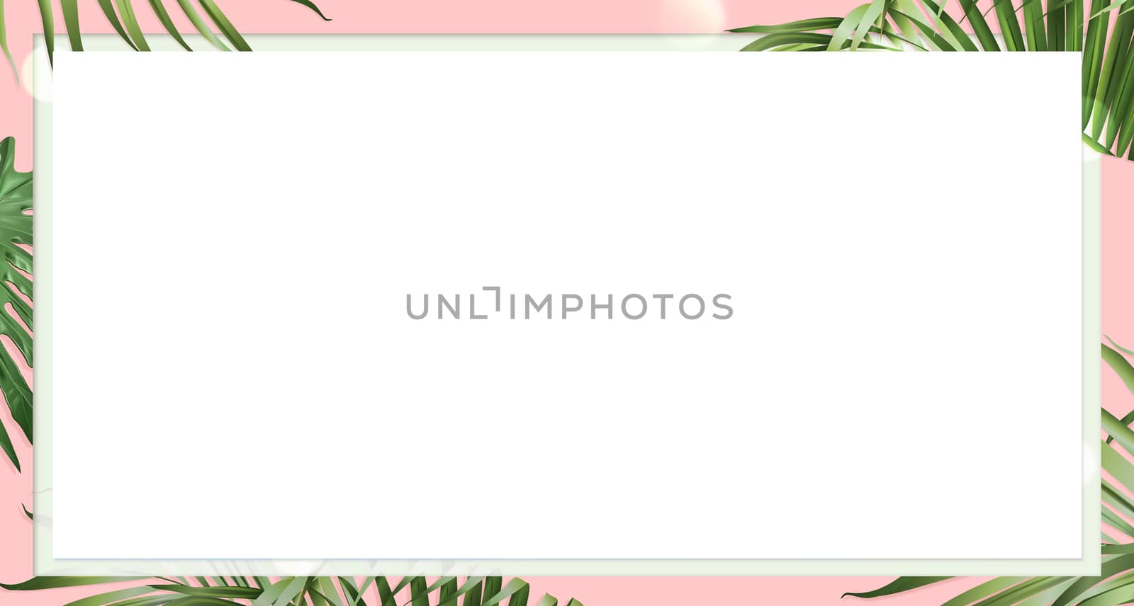 The website banner with pink background, euclidean and palm leaves border by cougarsan