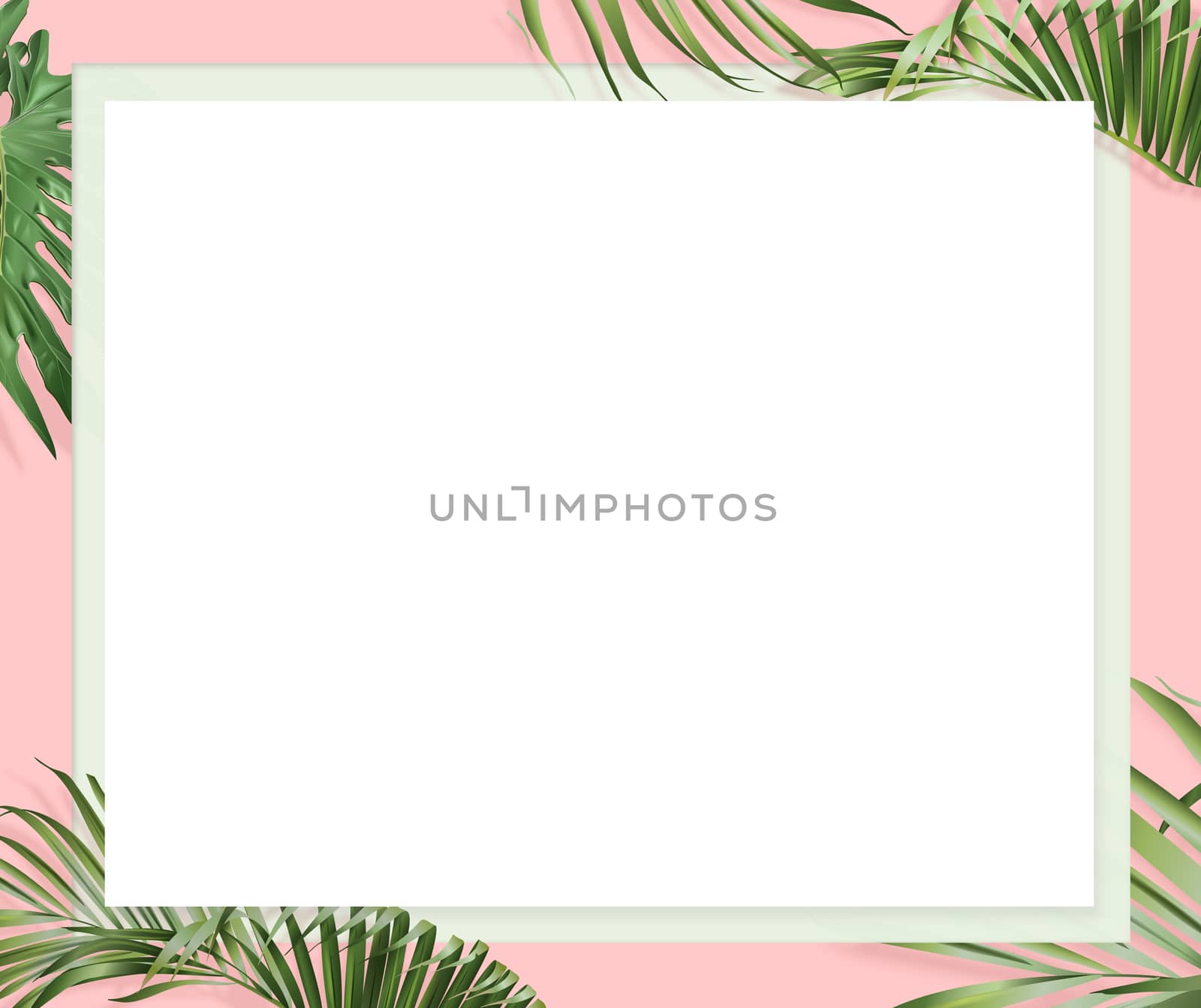 The website banner with pink background, euclidean and palm leaves border by cougarsan