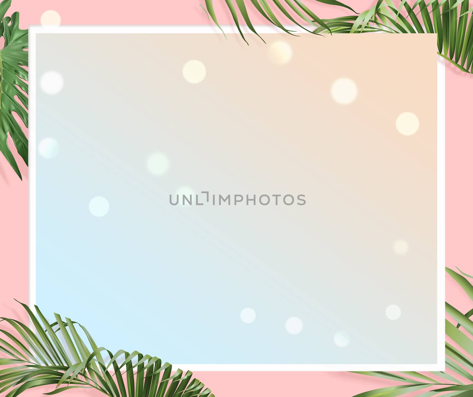 The website banner with pink background, euclidean and palm leaves border