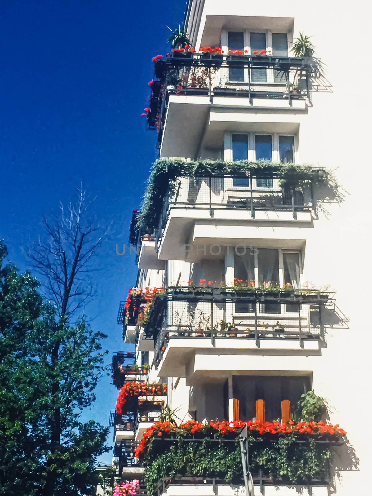 Exterior facade of classic building in the European city, architecture and design detail