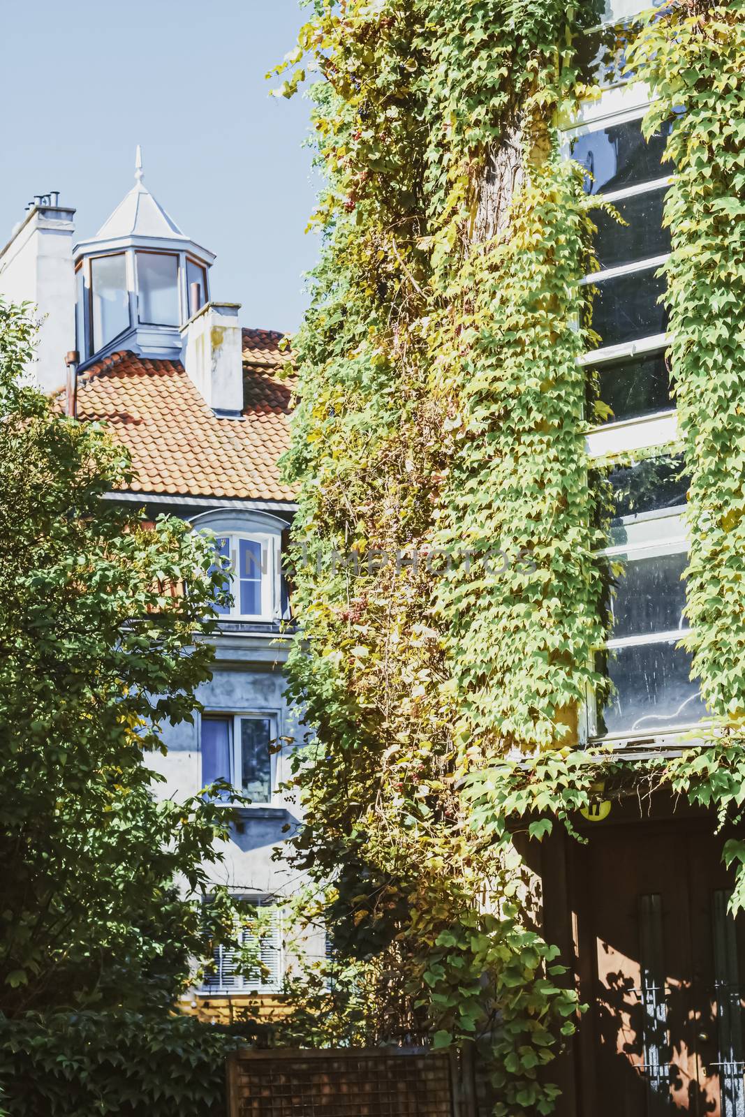 Exterior facade of classic building in the European city, architecture and design by Anneleven