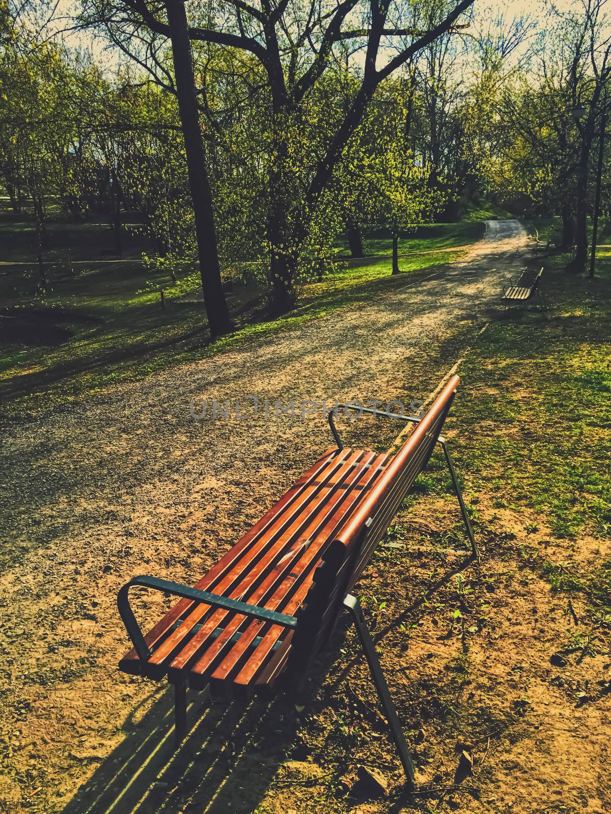 Empty bench in park during a city lockdown in coronavirus pandemic by Anneleven